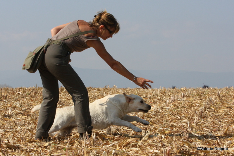 Field Erstein 09 (179).JPG